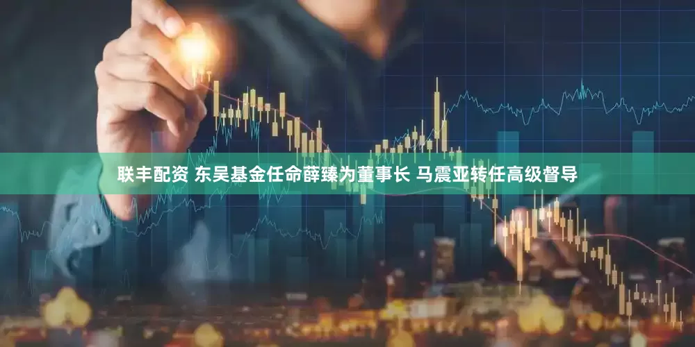 联丰配资 东吴基金任命薛臻为董事长 马震亚转任高级督导