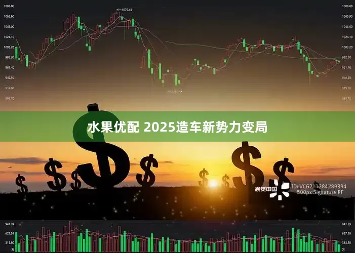 水果优配 2025造车新势力变局