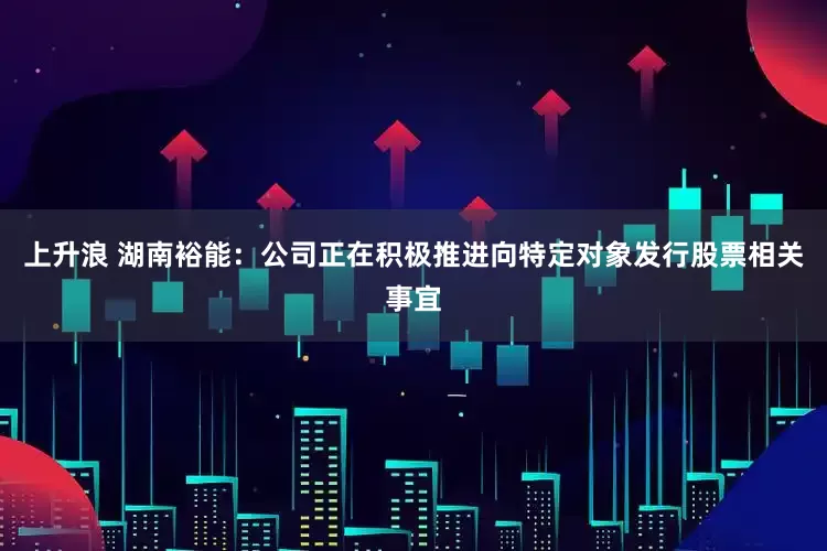 上升浪 湖南裕能：公司正在积极推进向特定对象发行股票相关事宜