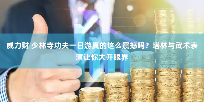威力财 少林寺功夫一日游真的这么震撼吗？塔林与武术表演让你大开眼界