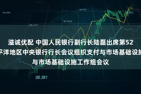 溢诚优配 中国人民银行副行长陆磊出席第52届东亚及太平洋地区中央银行行长会议组织支付与市场基础设施工作组会议